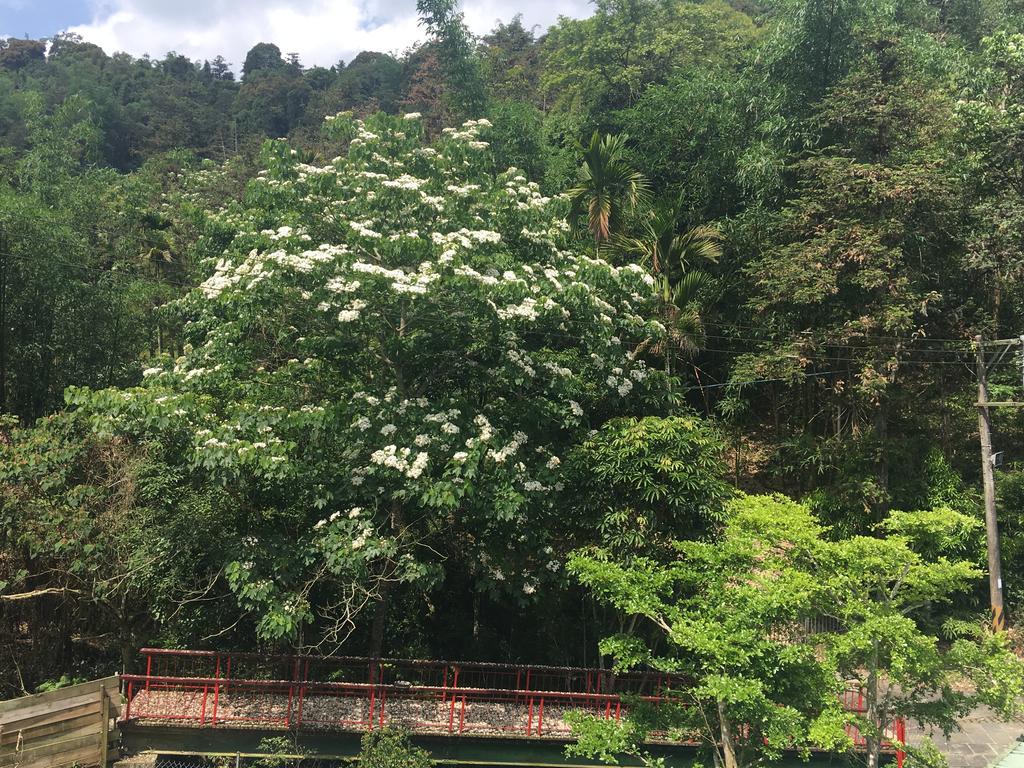 Dingdai Cherry Blossoms Resort Nantou Buitenkant foto