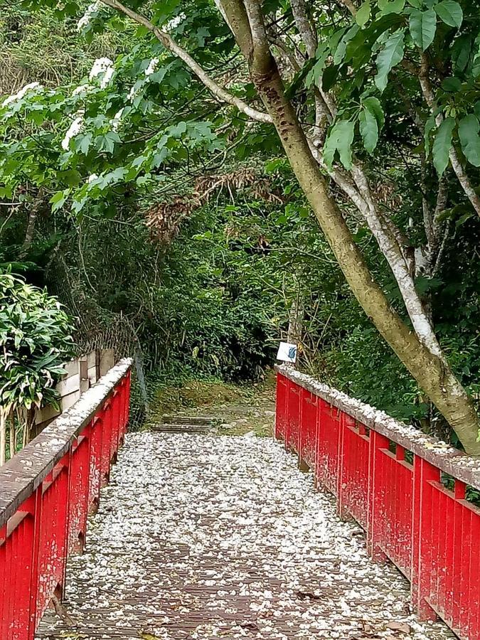 Dingdai Cherry Blossoms Resort Nantou Buitenkant foto